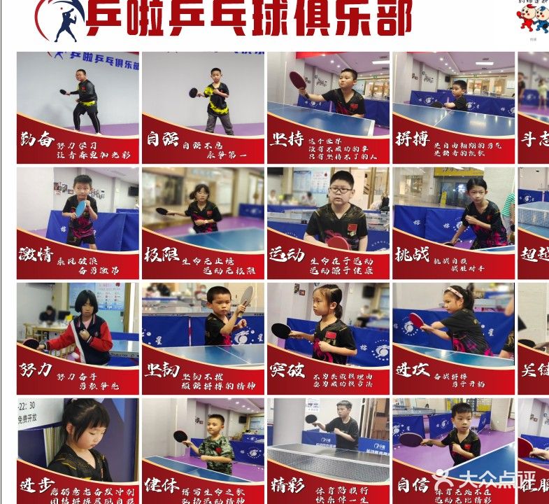 乒啦乒乓俱乐部