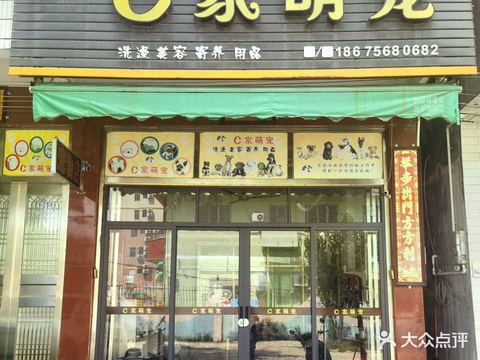 C家萌宠