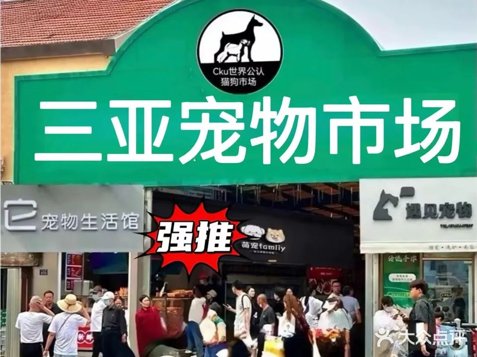 赛宠汪喵宠物店