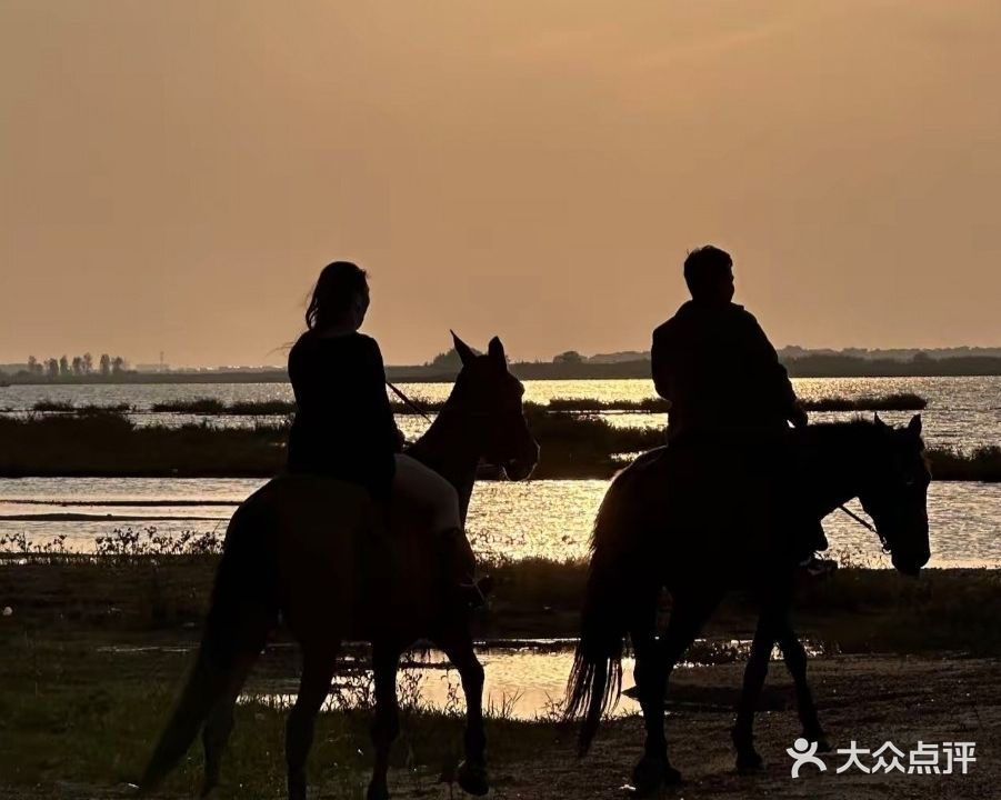 丰城市鼎亿追风马术俱乐部