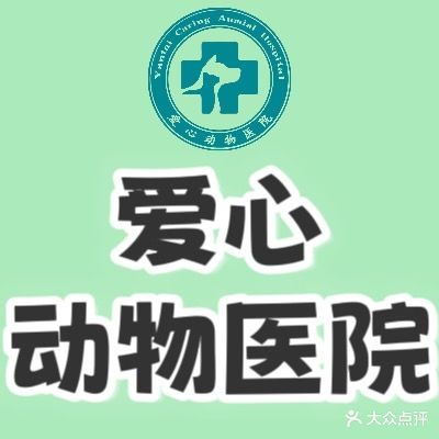 爱心宠物医院中心医院
