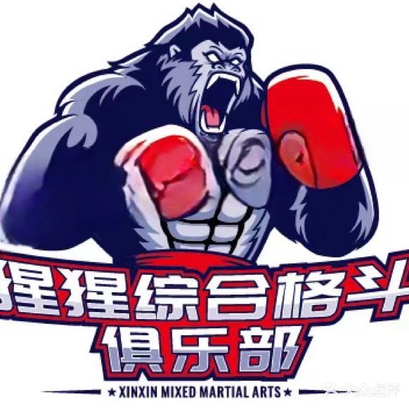 猩猩格斗健身