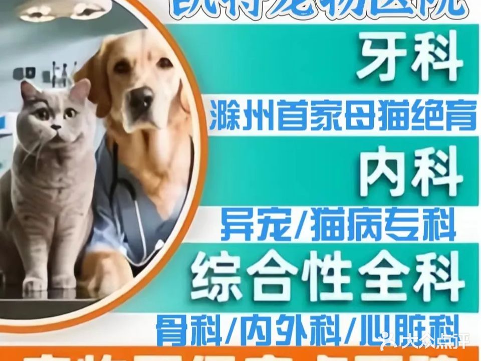 凯特动物诊疗中心