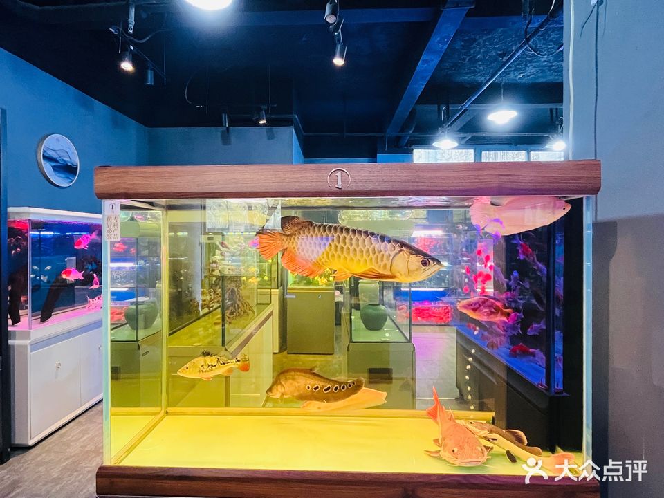 水族生活馆(温江店)
