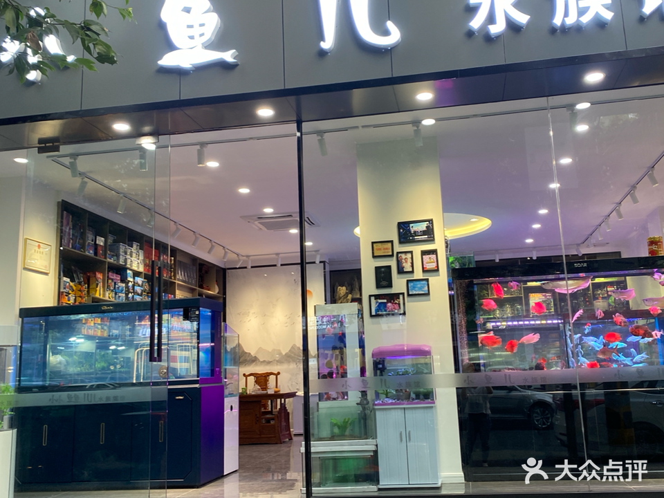 小鱼儿水族馆(簇锦横街店)