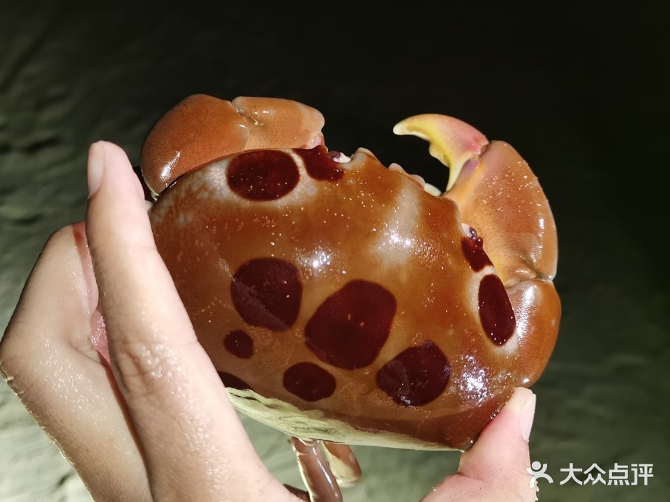 陵水赶海体验中心