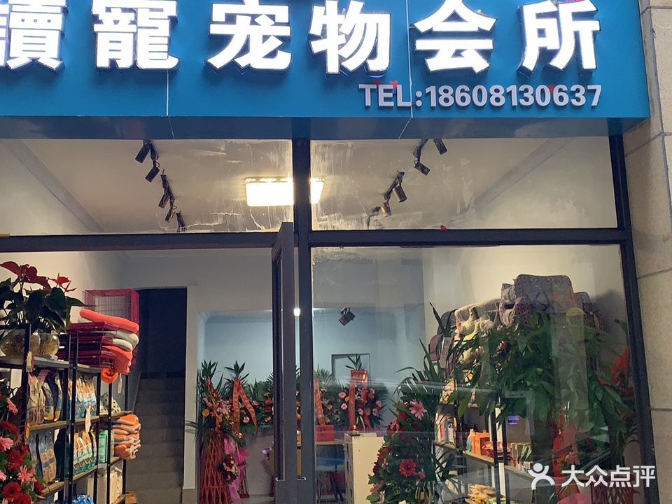 读宠宠物会所(檀木林国宾府店)