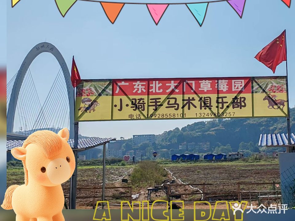 小骑手马术俱乐部