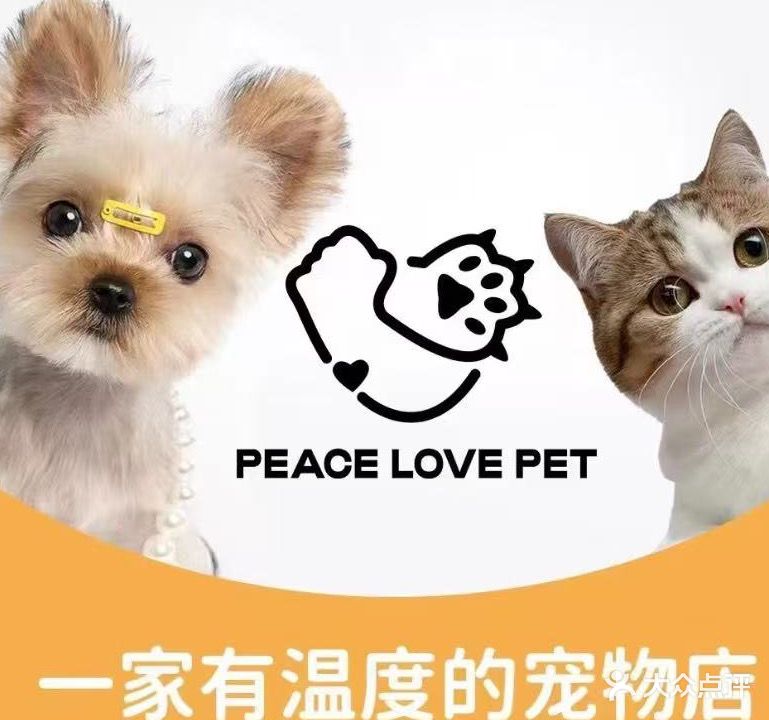 同灵宠艺