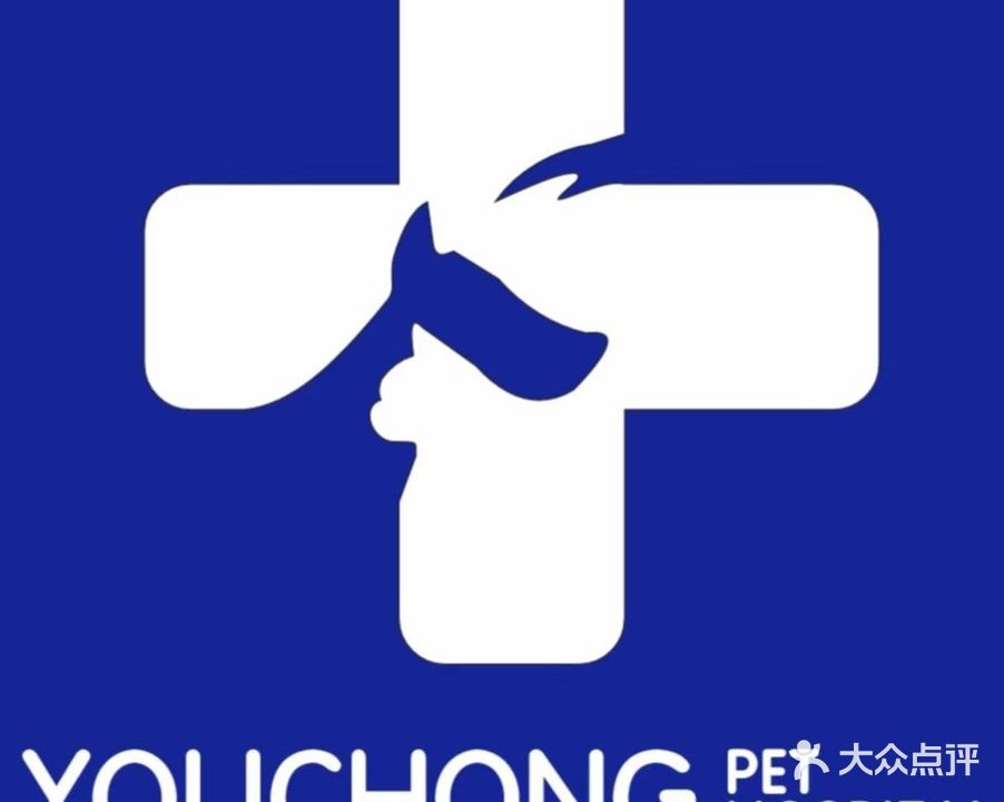 友宠宠物医院·骨科内窥镜