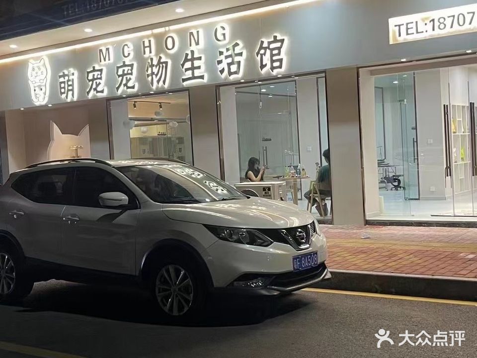 萌宠猫咪生活馆
