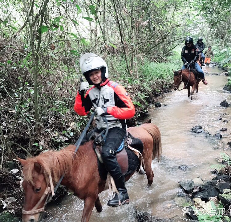 紫云谷跑马场