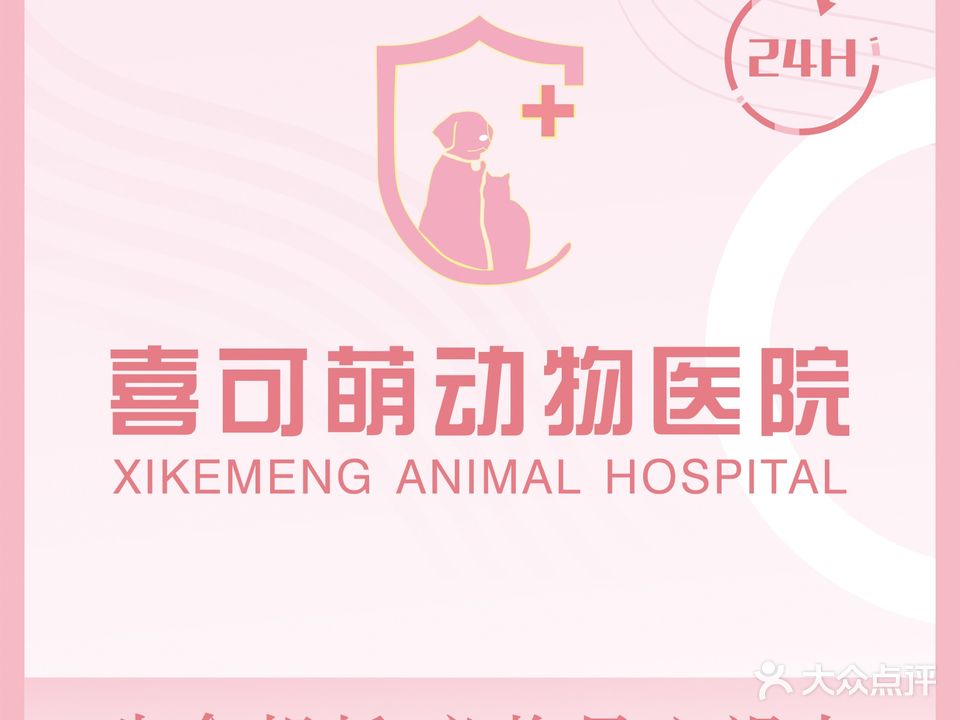喜可萌动物医院·疑难内科·心脏·猫科中心