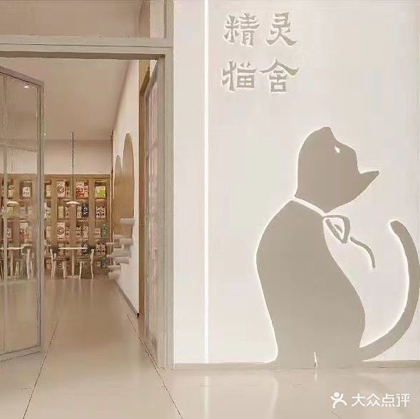 精灵猫舍(六安奥莱店)