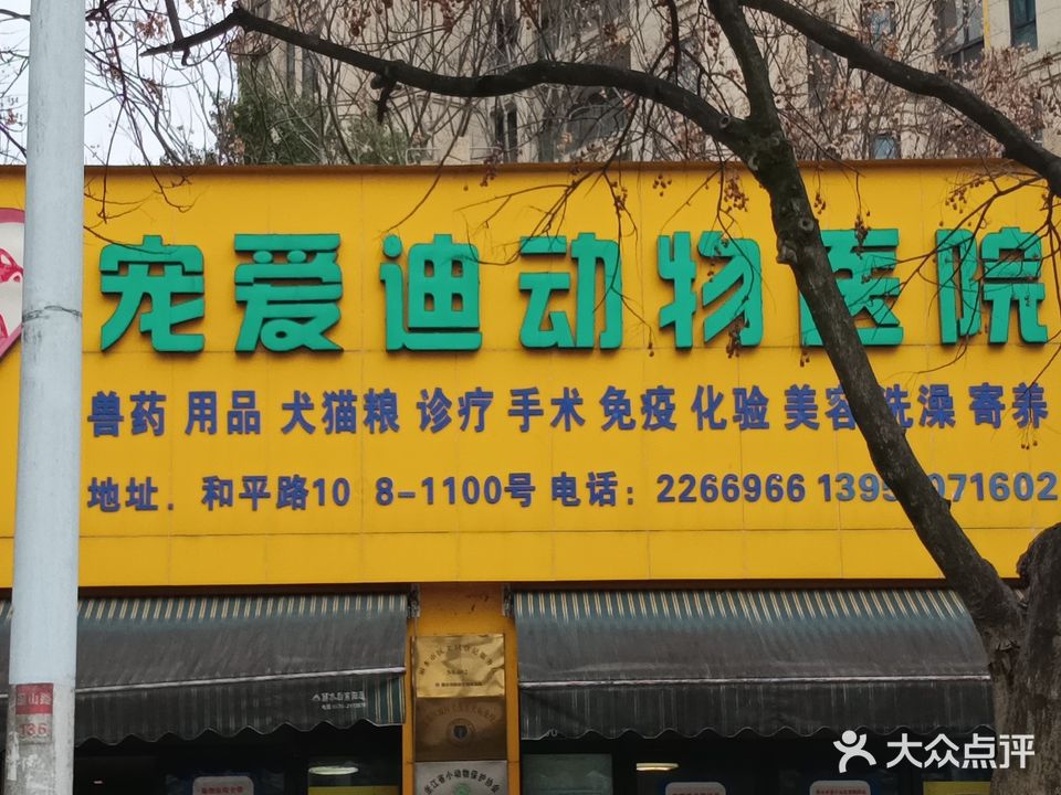 宠爱迪动物医院(和平路店)