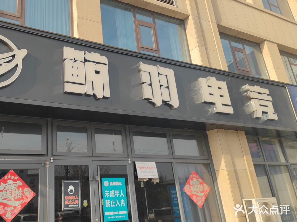 鲸羽电竞