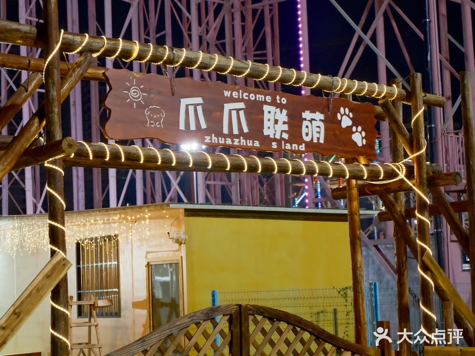 爪爪联萌宠物乐园