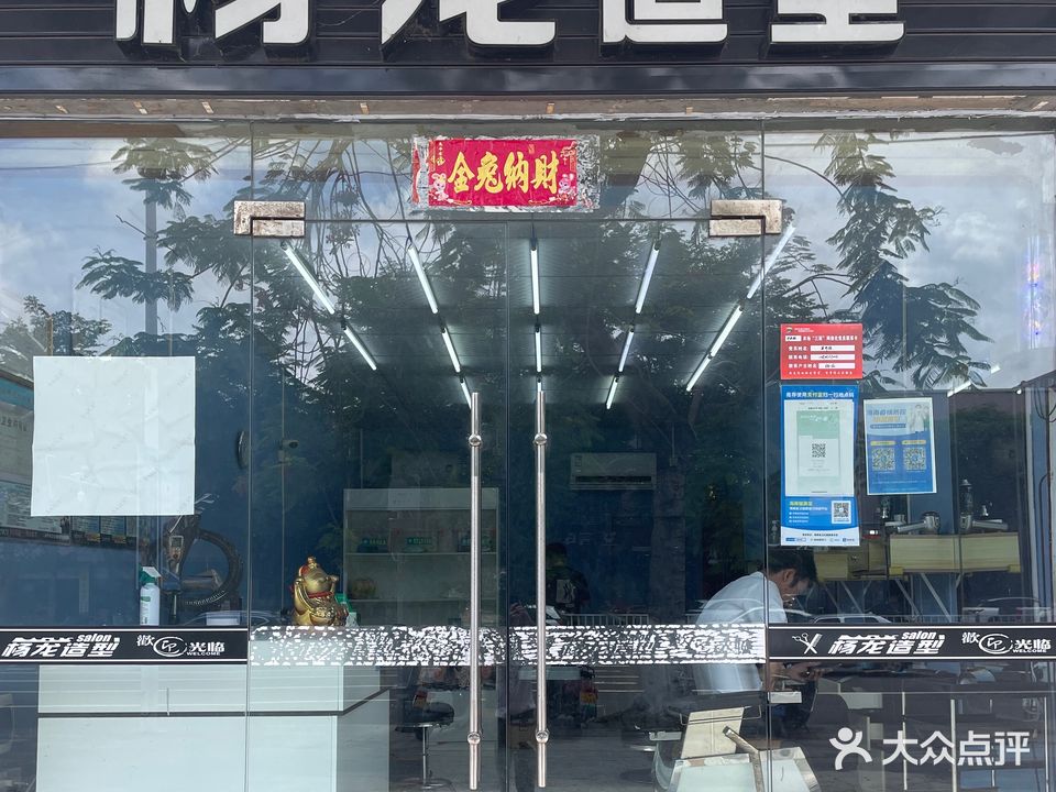 杨龙造型