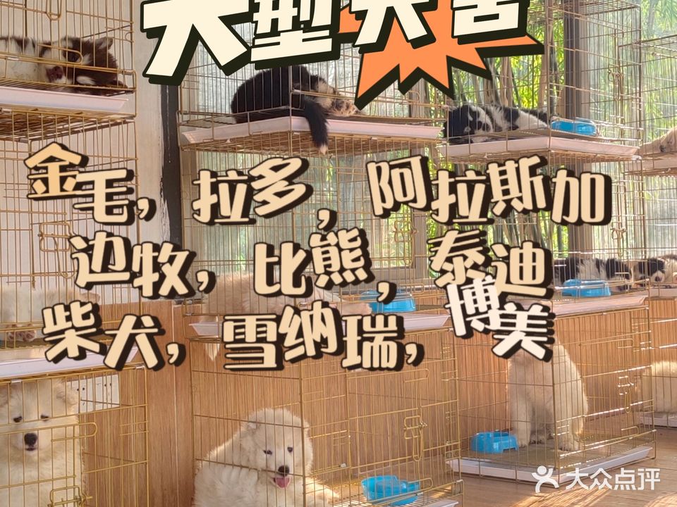 中山艾萌名犬基地