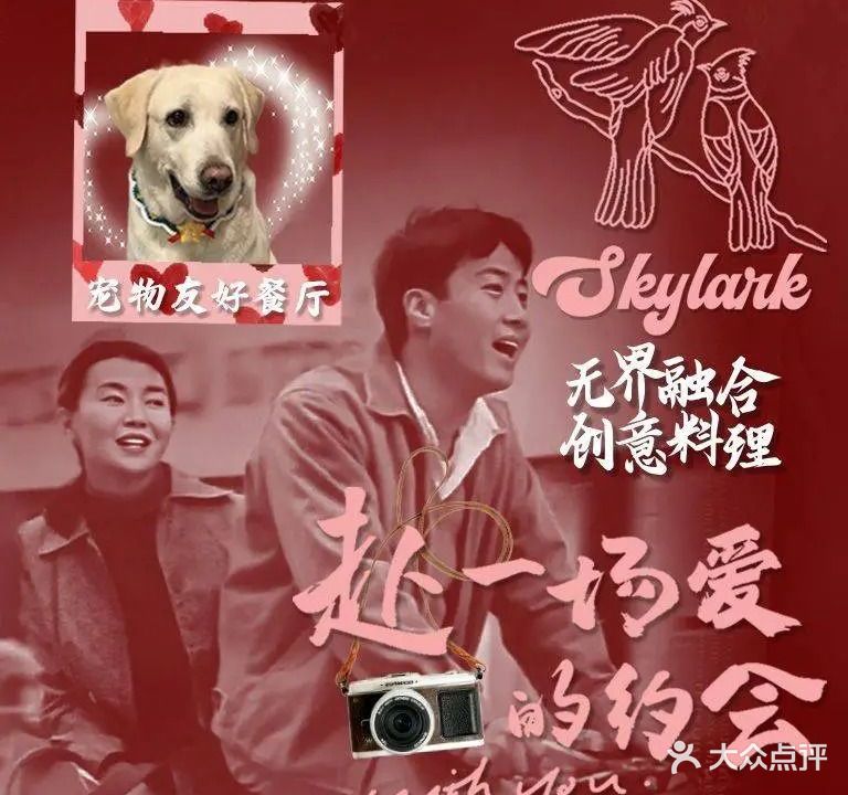 Skylark云雀西餐厅·酒吧(南京首店)