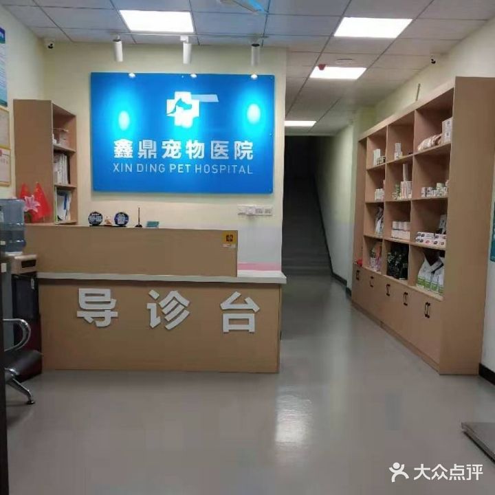 上饶市鑫鼎宠物医院(宠物医疗)