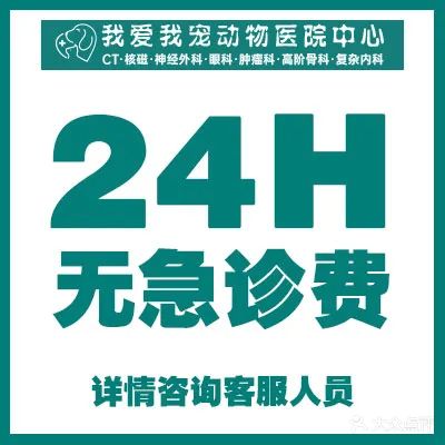 我爱我宠动物医院(西新安街店)