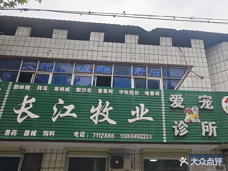宠物医院