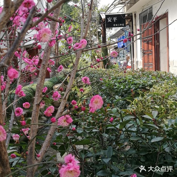 发现安平造型