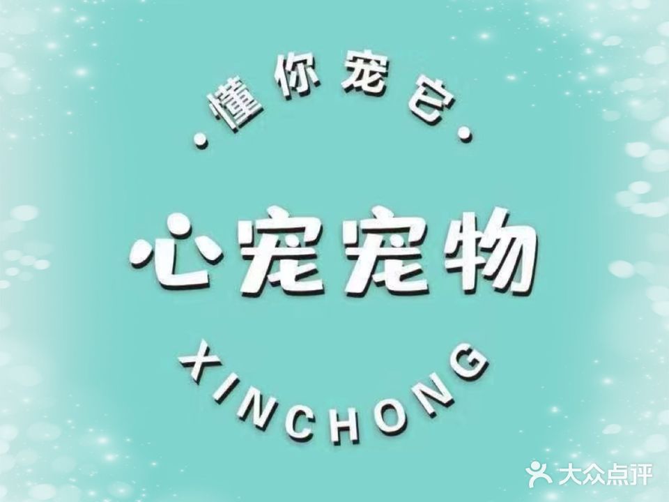 心宠宠物美容工作室(南门新城3区店)