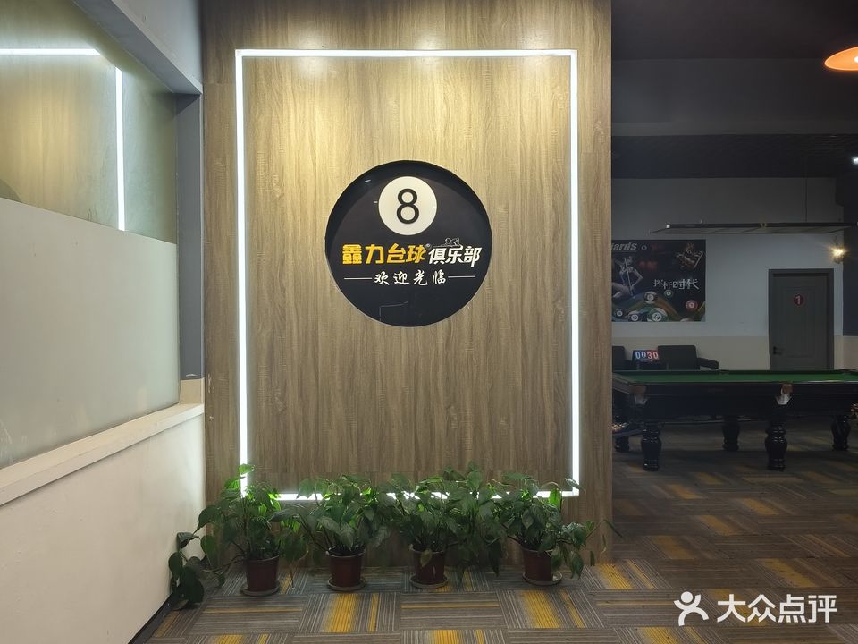 鑫力台球俱乐部(沿江东路店)