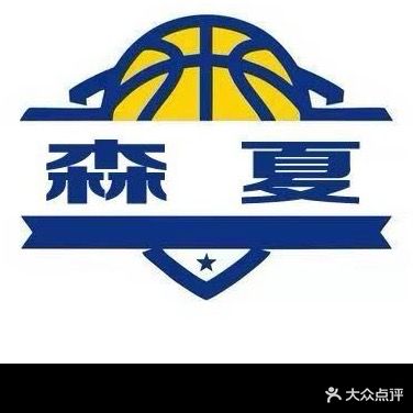森夏篮球公园