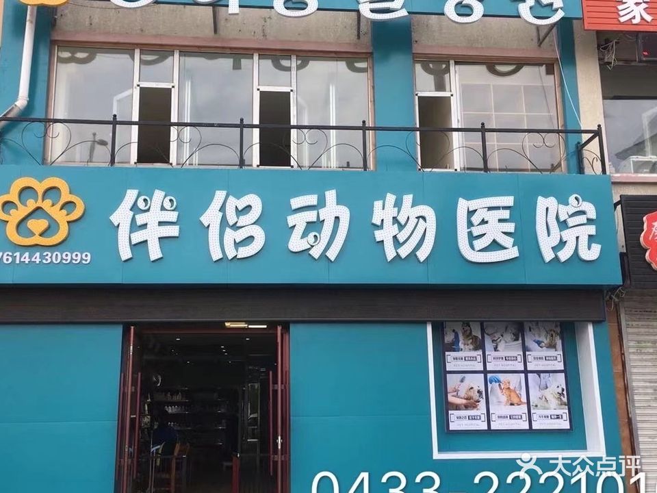 伴侣动物医院