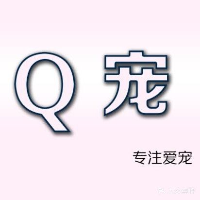 Q宠·专注爱宠