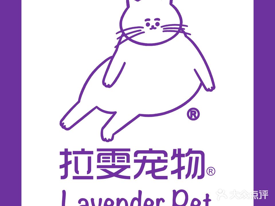 拉雯宠物·艺何喵计(艺何喵计品牌孵化)