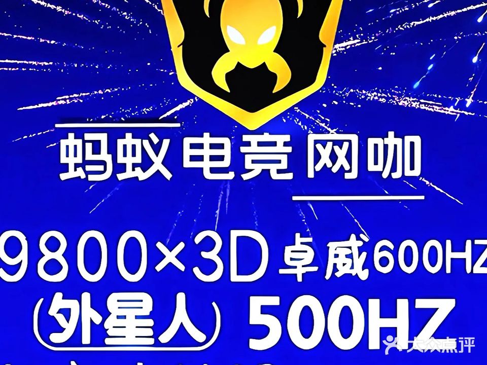蚂蚁电竞网咖(胜利东路店)