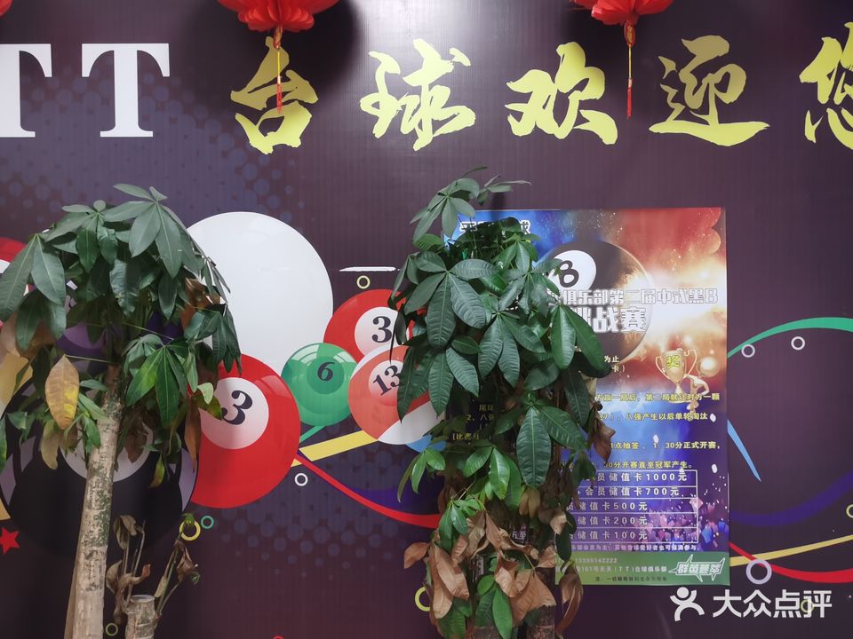TT台球俱乐部(威清路店)