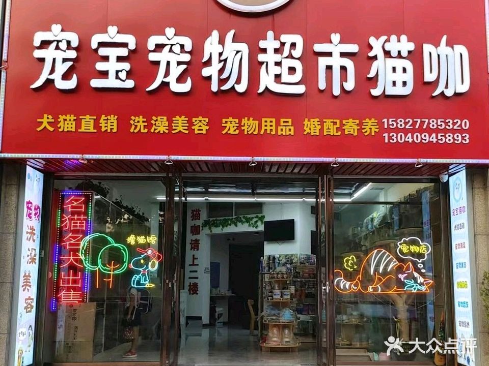 宠宝宠物超市猫咖(长江尚品店)