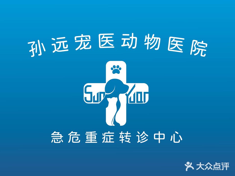 孙远宠医动物医院