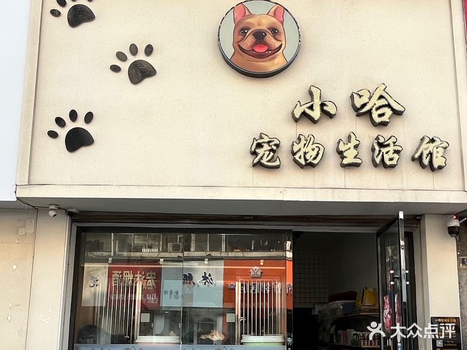 小哈宠物生活馆