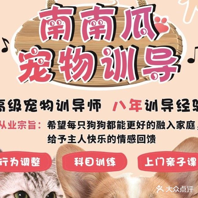 南南瓜宠物训导
