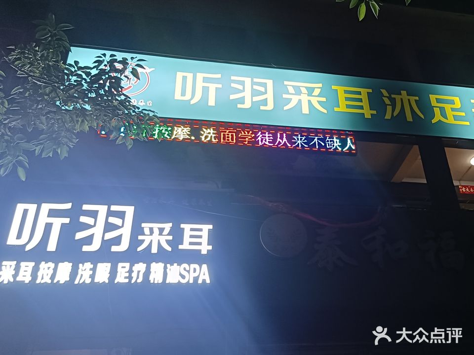 听羽采耳