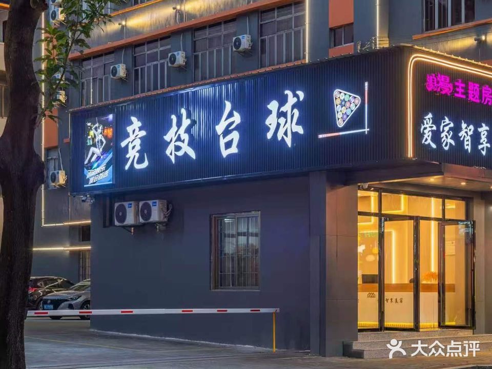 竞技台球