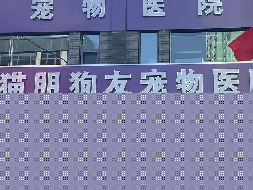 猫朋狗友宠物医院(新澳城分院)