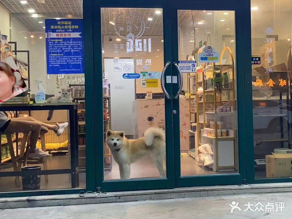 宇宙宠物小店