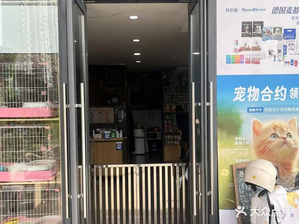 卷心菜宠物店