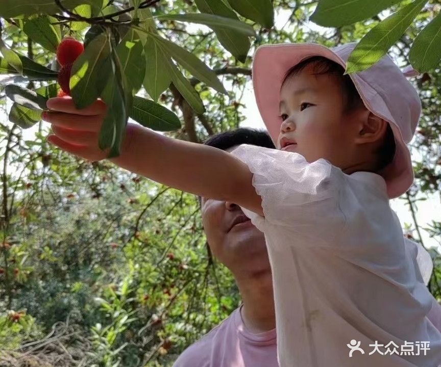 龙头渚