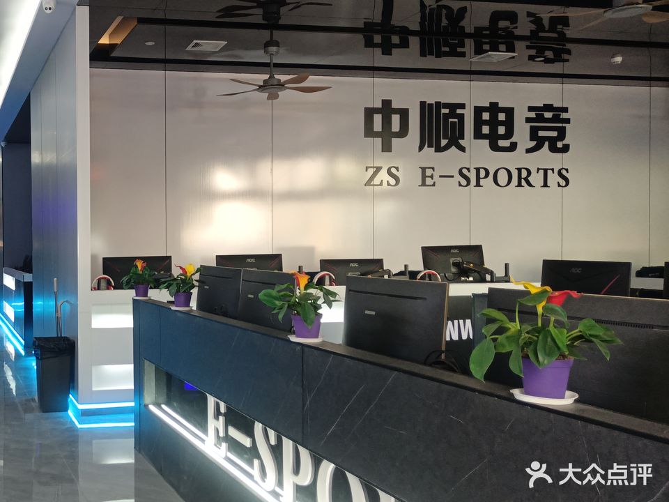 中顺网络