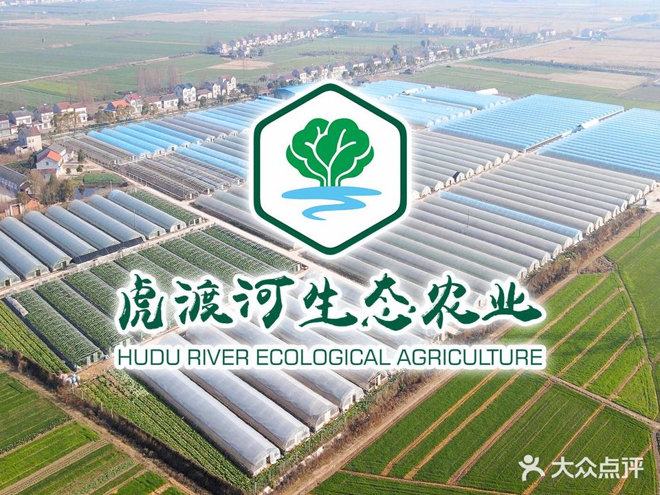虎渡河生态农业