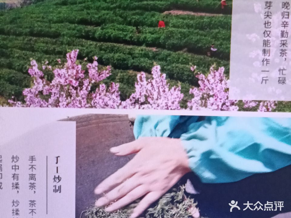 西山碧螺春茶厂