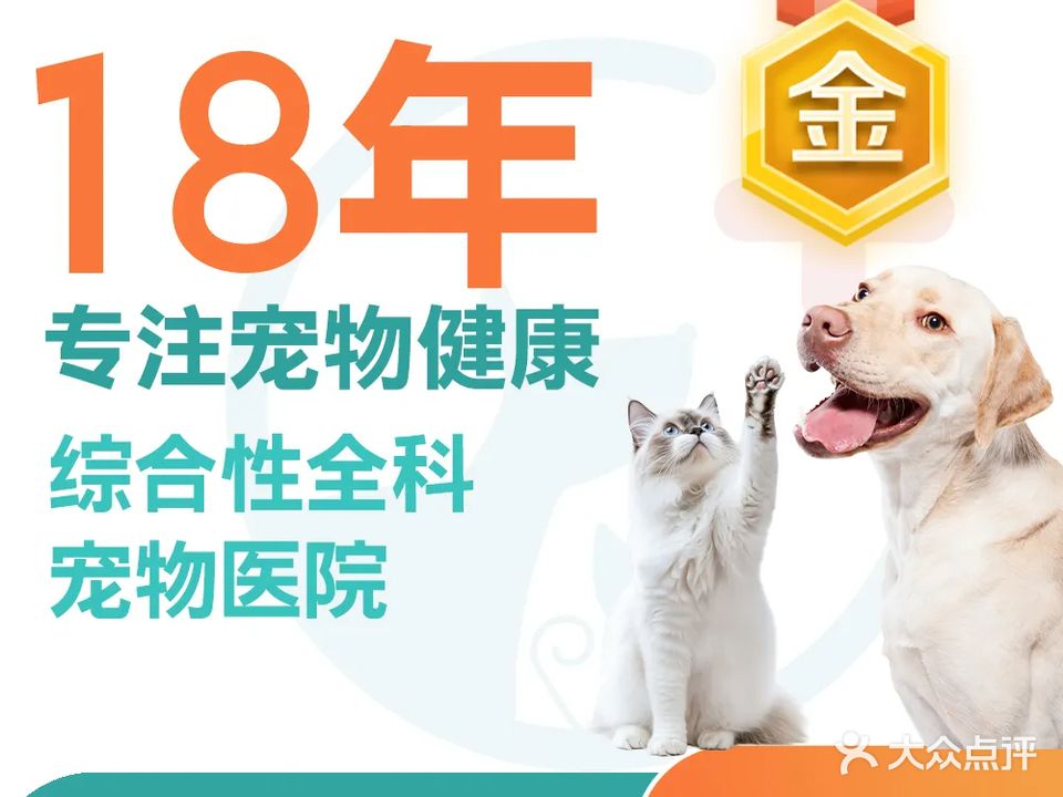 宠医生宠物医院